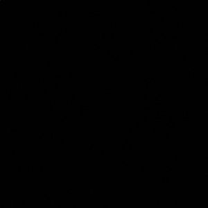 Meet your Posher, Ariana